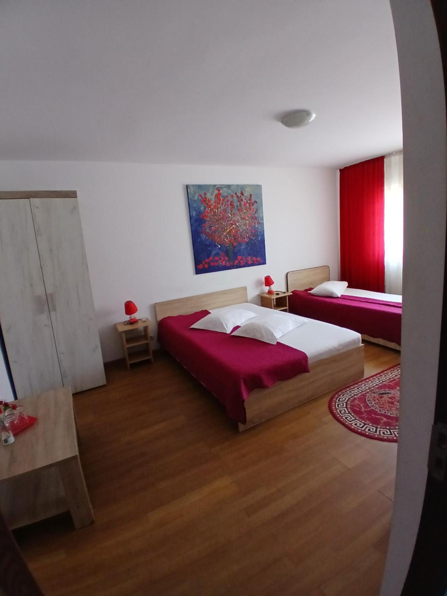 Casa Rustica Apart & Rooms Cîmpineanca Esterno foto