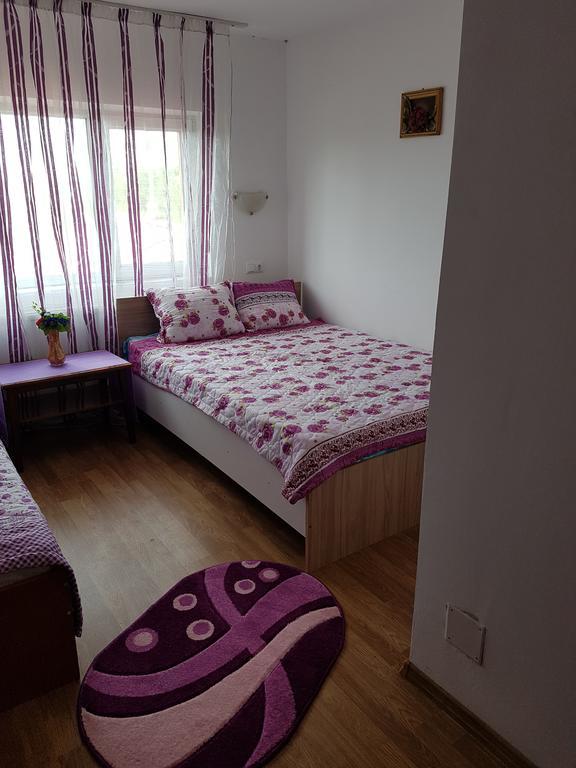 Casa Rustica Apart & Rooms Cîmpineanca Esterno foto
