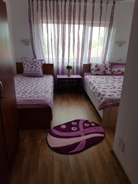 Casa Rustica Apart & Rooms Cîmpineanca Esterno foto