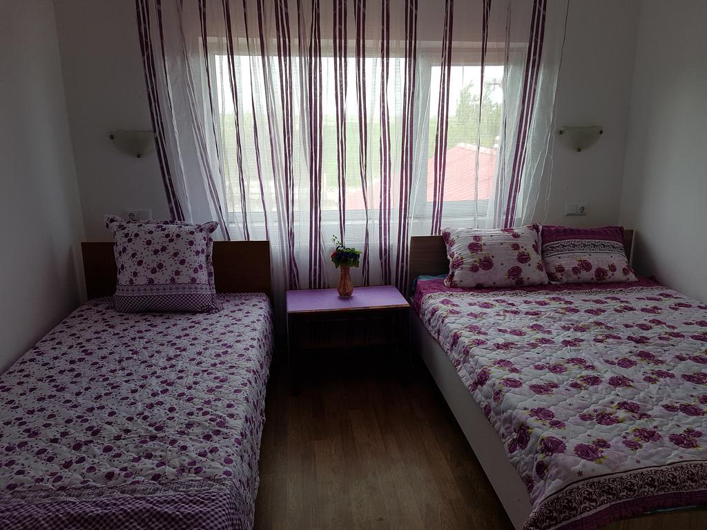 Casa Rustica Apart & Rooms Cîmpineanca Esterno foto