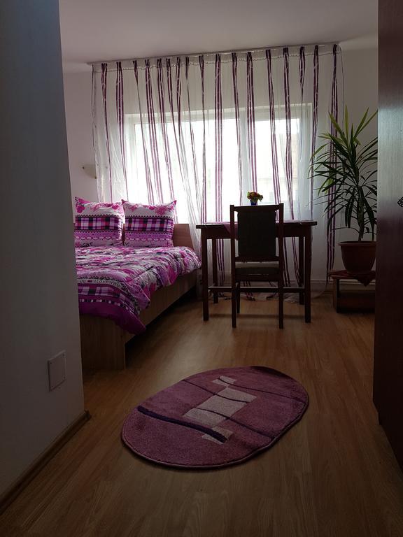 Casa Rustica Apart & Rooms Cîmpineanca Esterno foto