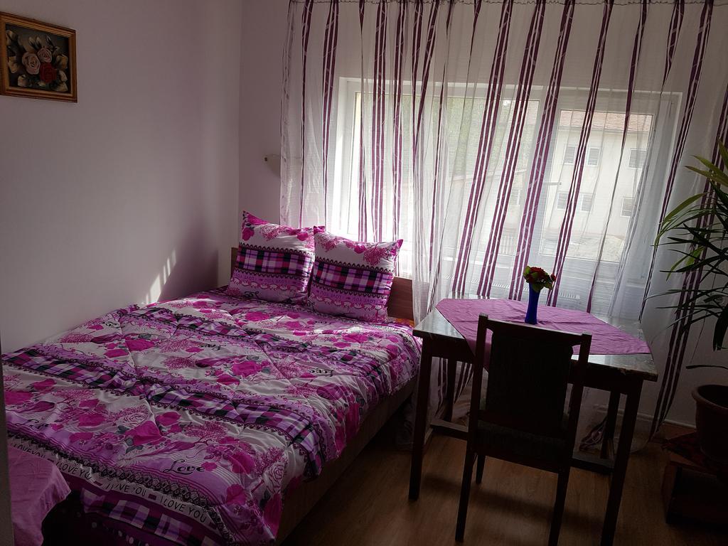 Casa Rustica Apart & Rooms Cîmpineanca Esterno foto
