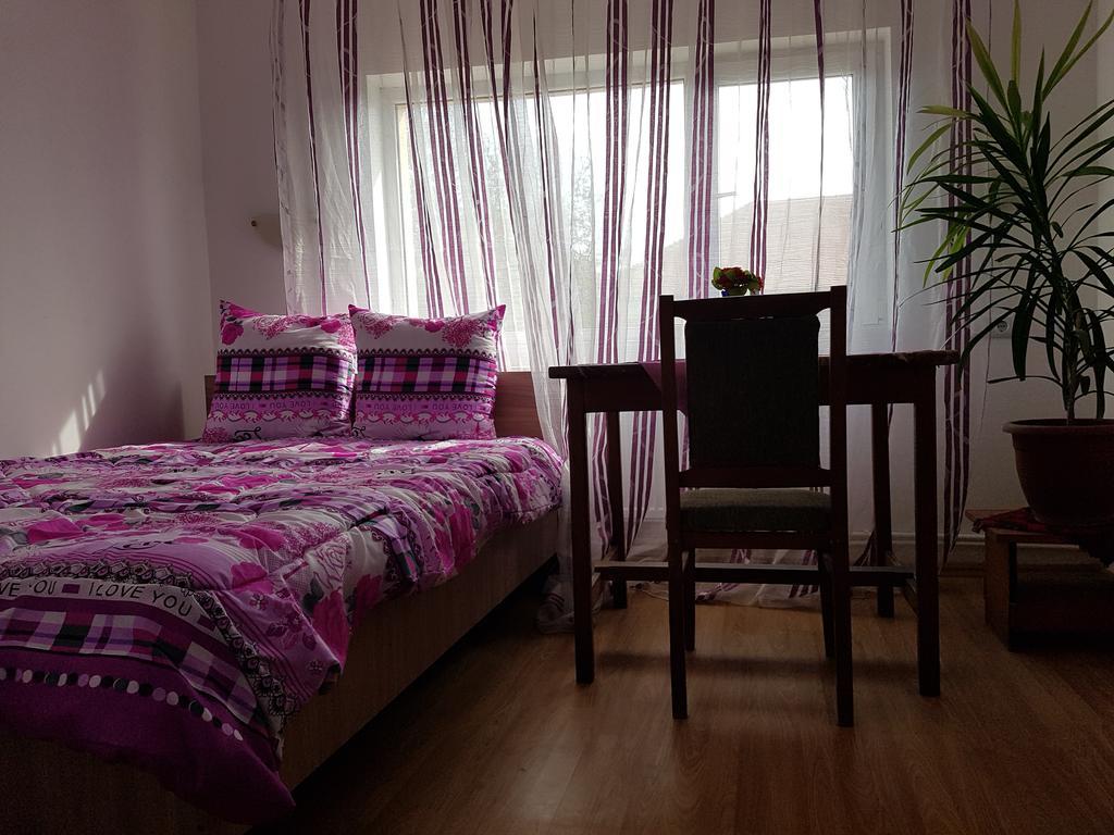 Casa Rustica Apart & Rooms Cîmpineanca Esterno foto