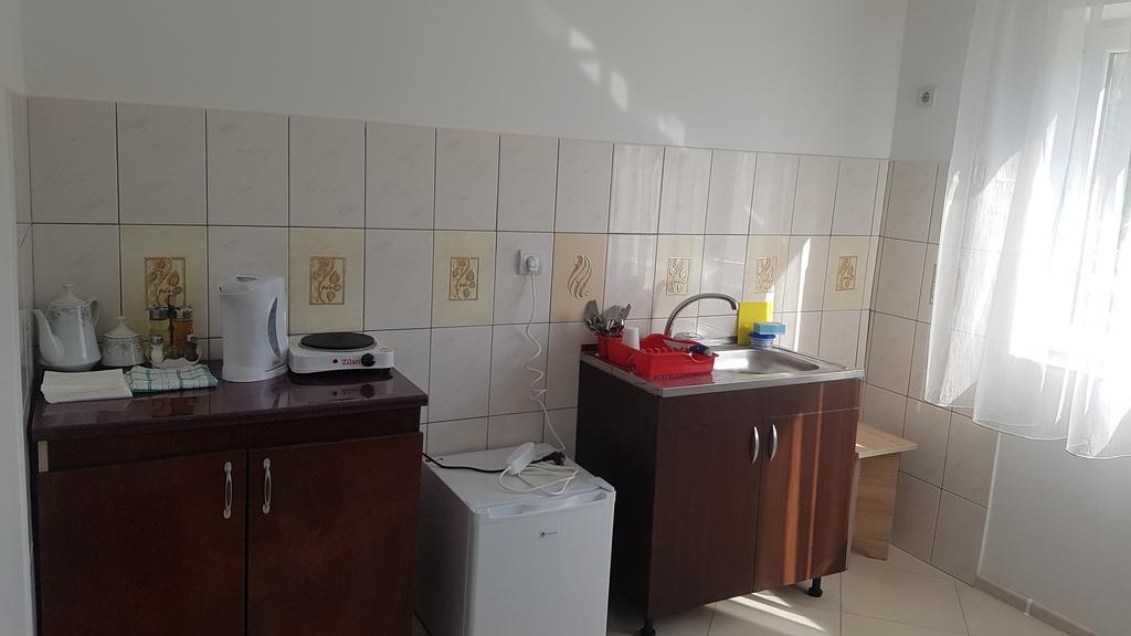 Casa Rustica Apart & Rooms Cîmpineanca Esterno foto